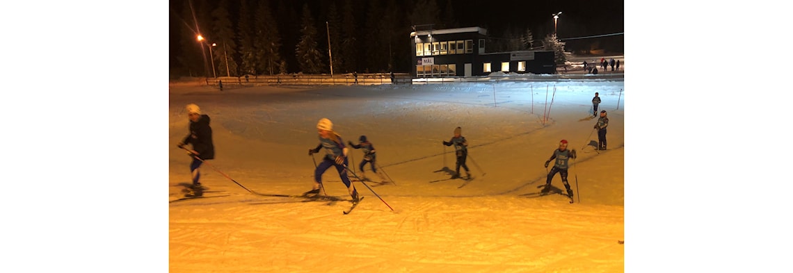 Telenor-Hestehovkarusellen - Skicross